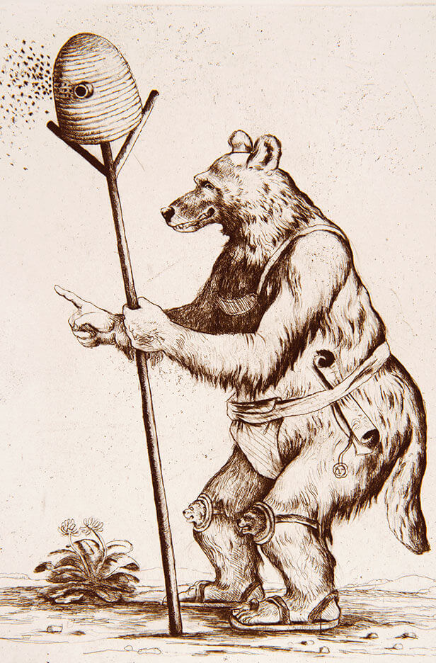 Bruun the bear